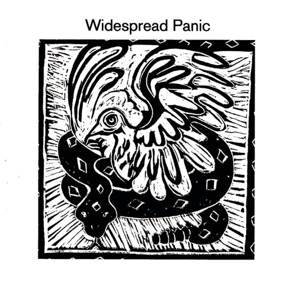 Widespread Panic cover